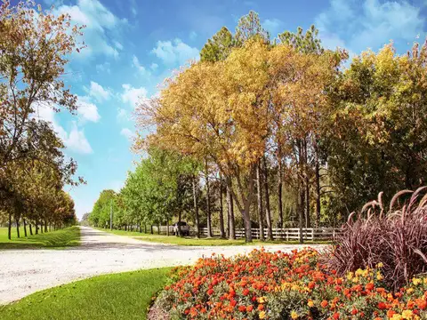 Terreno en venta - 2.312Mts2 - Fincas de San Vicente