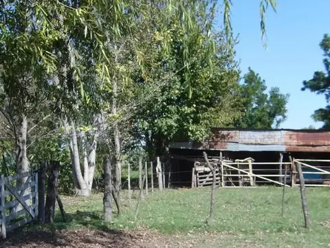 Ruta 8