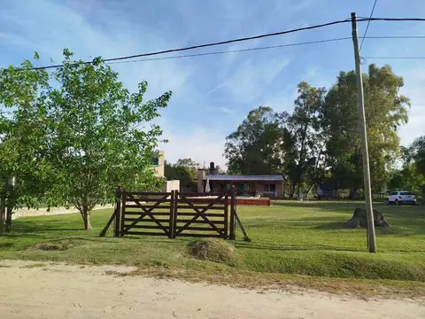 Calle los Pomelos 100