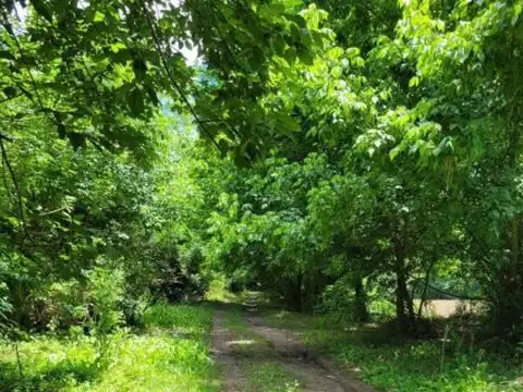 Lote Dique lujan , Escobar , Rio lujan / Correntino