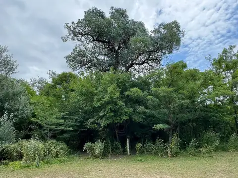 Terreno en Venta 72  mts Fondo