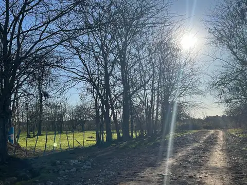 Terreno en Venta en Arturo Segui, Partido de La Plata