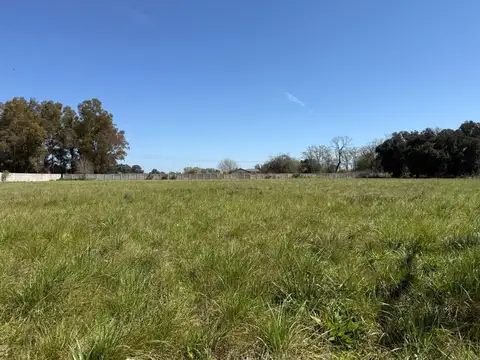 Campo en Venta Chacra