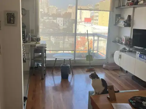 Departamento en Alquiler 6 años
