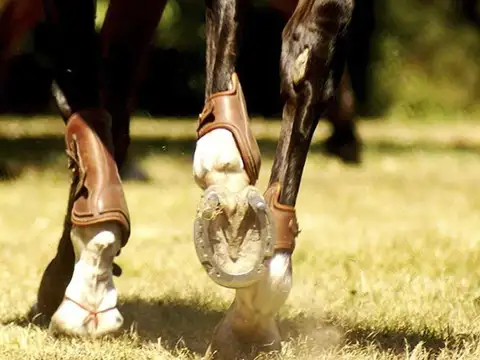 Avenida Pereda S/n, Máximo Paz, Ezeiza