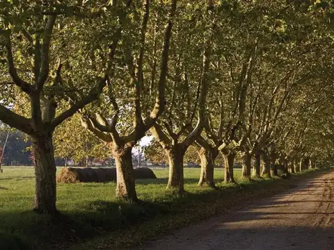 Terreno en Venta en Estancia Villa Maria, USD 120.000