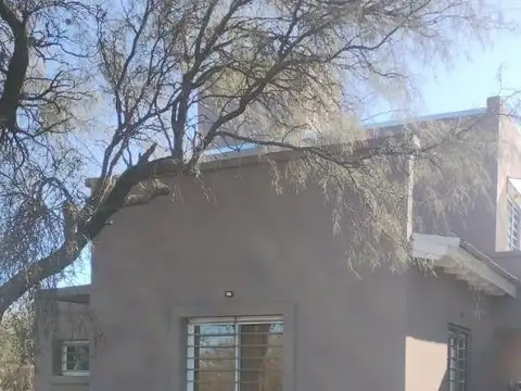 El Quirquincho