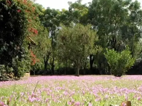 Terreno en Venta en Casuarinas Del Pilar, USD 54.000