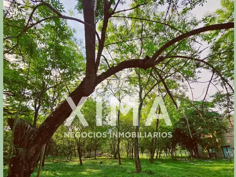 Quebrada de Los Nogales