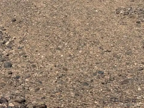 Parque industrial, Neuquén