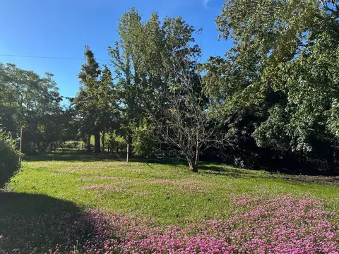 Terreno en Venta de 1119,0 m2
