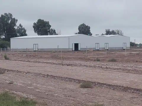 Galpon en Venta en Lujan de Cuyo, USD 360.000
