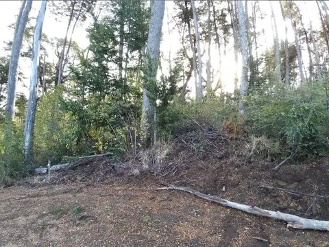 VENTA lote/terreno 1596m2 con financiación-Faldeo del Bayo Villa La Angostura