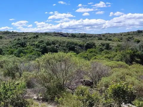 TERRENO EN VENTA CABALANGO 3,5 HECTAREAS