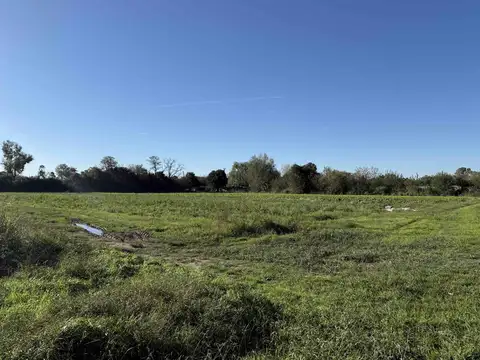Campo de 3,4 ha en Escobar