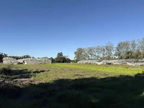 Campo de 3,4 ha en Escobar