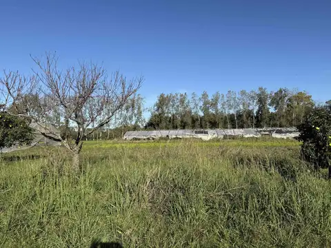 Campo de 3,4 ha en Escobar