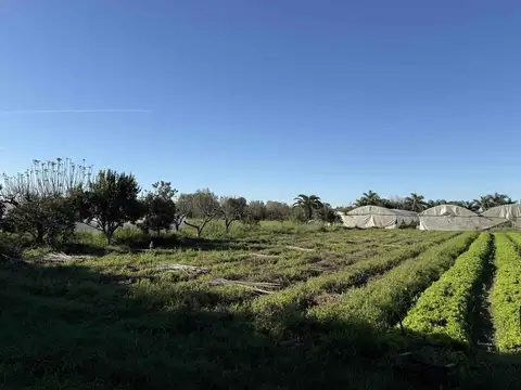 Campo de 3,4 ha en Escobar