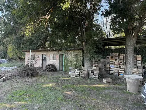 Republic del Paraguay al 100