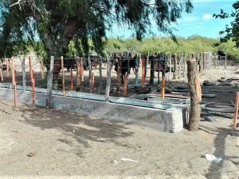 RUTA 143