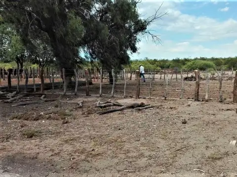 REMAX VENDIMIA VENDE CAMPO GANADERO EN SAN RAFAEL
