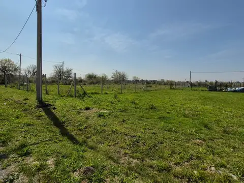 Batalla de Salta  al 600