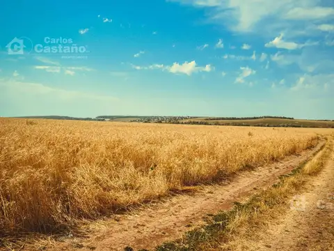 Venta de Campo 3500Ha en Bahía Blanca (Campo Mixto)