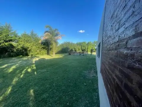 Ricardo Rojas 1000