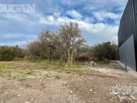 Galpon en Alquiler A Estrenar