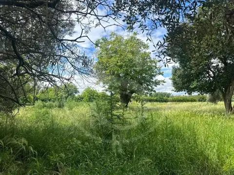 TERRENO EN VENTA SOLIS SAN ANDRES DE GILES