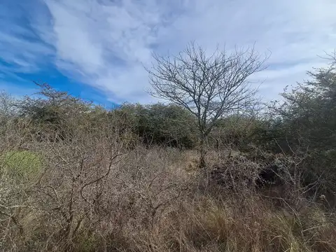 Los Reartes 100