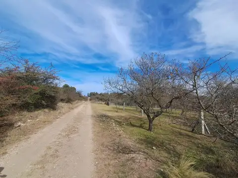 Terreno en Venta en Los Reartes, USD 10.500
