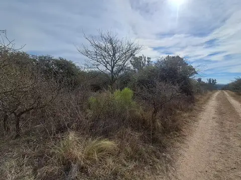 Terreno en Venta 45  mts Fondo