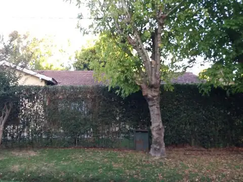 411 / 28 y 29