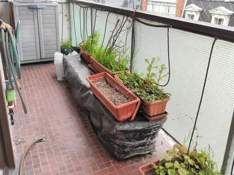 Departamento en Alquiler de 3 ambientes