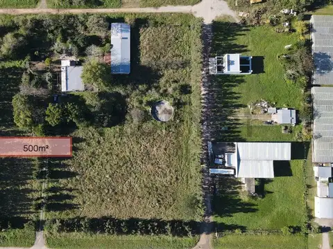 Lote Terreno en venta en La Plata, Lisandro Olmos 500m²