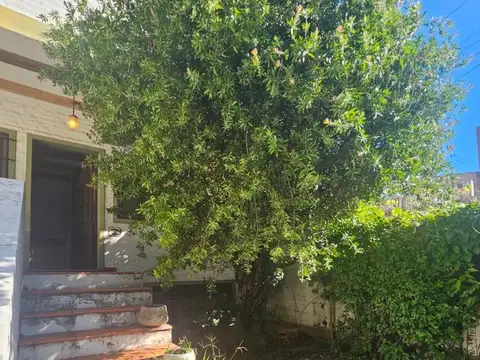 Almafuerte 600