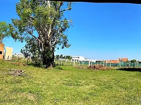 Terreno en Venta 26  mts Fondo
