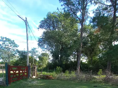 Terreno en Venta de 300,0 m2