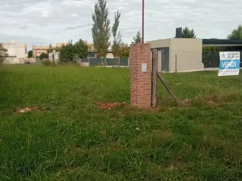El Payador 1000
