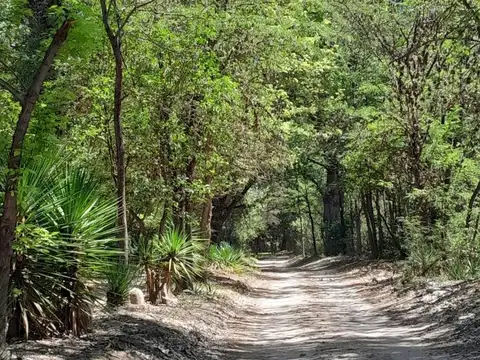 Ruta 14