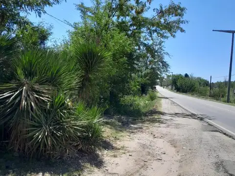 Ruta 14 S/n
