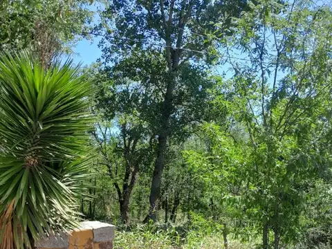 Terreno en Venta en Las Rabonas, San Alberto