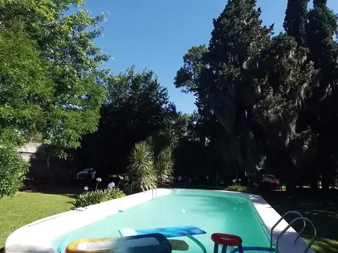 TIMBUES Y LOS ROBLES