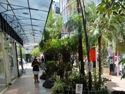 HERMOSO LOCAL 3 PLANTAS 67MTS 2  EN EL CORAZON ONCE  GALERIA IMPERIAL  35 MTS AV CORRIENTES