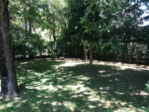 Mapuche C.C