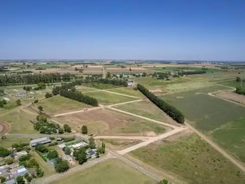 Ecolagos