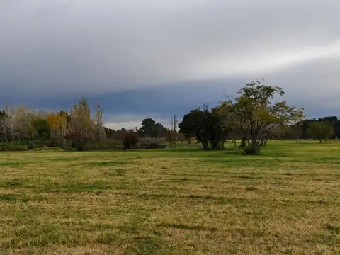 Terreno en Venta de 1000,0 m2
