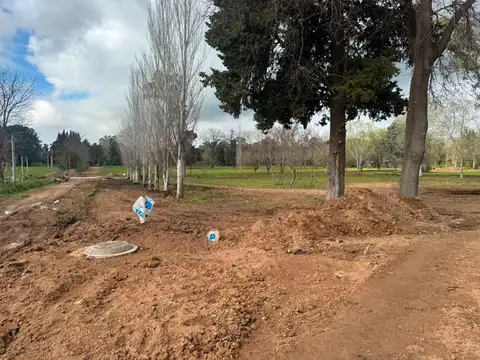 Terreno en Venta de 300,0 m2