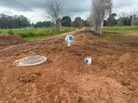 Consultar dirección